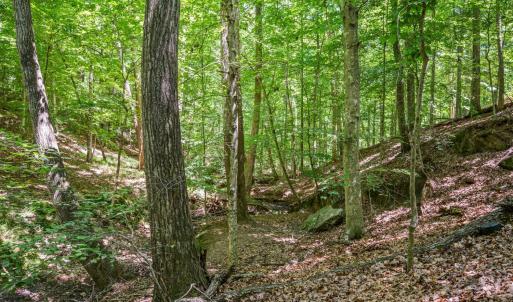 Photo #53 of 933 Rothowood Road, Lynchburg, VA 0.9 acres