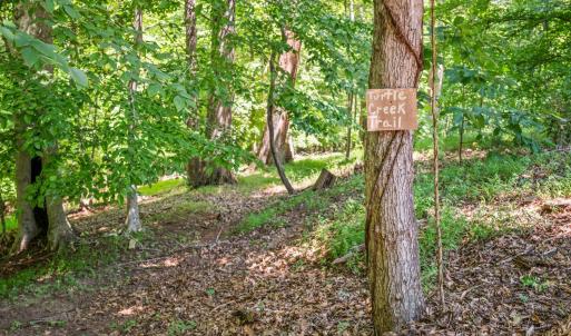 Photo #52 of 933 Rothowood Road, Lynchburg, VA 0.9 acres