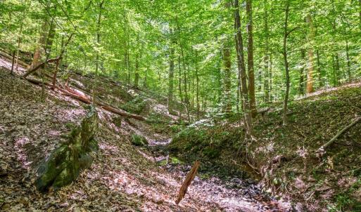 Photo #54 of 933 Rothowood Road, Lynchburg, VA 0.9 acres