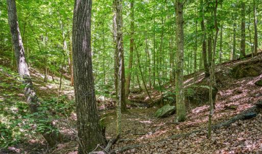Photo #58 of 933 Rothowood Road, Lynchburg, VA 0.9 acres
