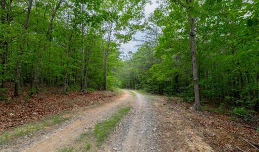 Photo #35 of 5447 Promise Land Road, Appomattox, VA 28.4 acres