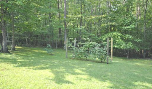 Photo #86 of 113 Sunburst Hills Road, Evington, VA 4.0 acres