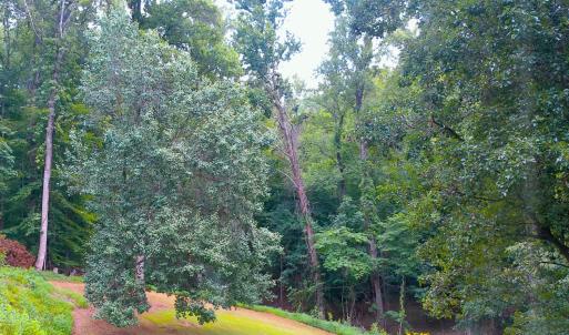 Photo #60 of 292 Briarwood Drive, Amherst, VA 3.7 acres