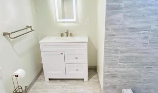 Terrace Level Apartment Bath