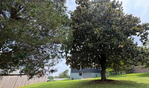 Photo #28 of 1211 Dandridge Drive, Lynchburg, VA 0.3 acres