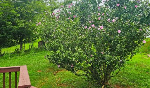 Photo #15 of 603 Burley Hollow Road, Amherst, VA 1.8 acres