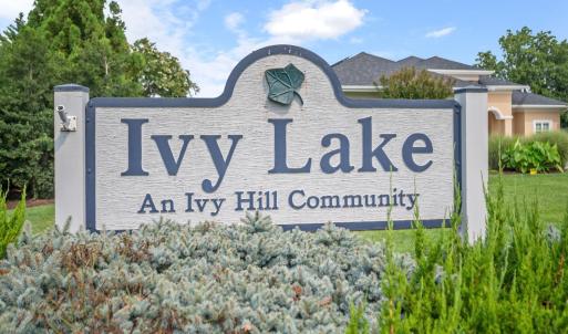 Photo #87 of 1029 Ivy Point Court, Forest, VA 1.1 acres