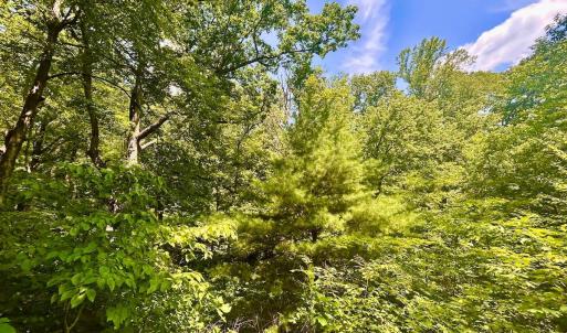 Photo #53 of 1907 Karnes Rd, Bedford, VA 10.8 acres