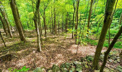 Photo #49 of 1907 Karnes Rd, Bedford, VA 10.8 acres