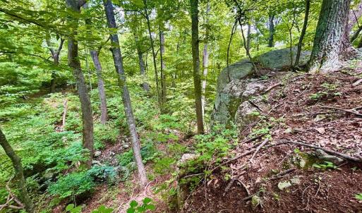 Photo #46 of 1907 Karnes Rd, Bedford, VA 10.8 acres