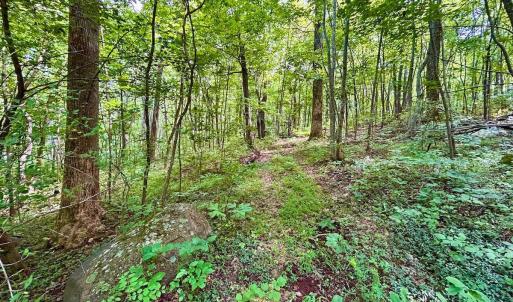 Photo #67 of 1907 Karnes Rd, Bedford, VA 10.8 acres