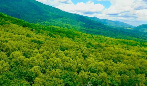 Photo #71 of 1907 Karnes Rd, Bedford, VA 10.8 acres