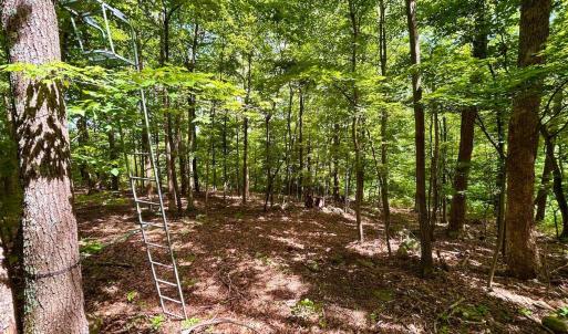 Photo #39 of 1907 Karnes Rd, Bedford, VA 10.8 acres