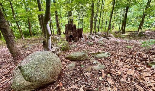 Photo #55 of 1907 Karnes Rd, Bedford, VA 10.8 acres