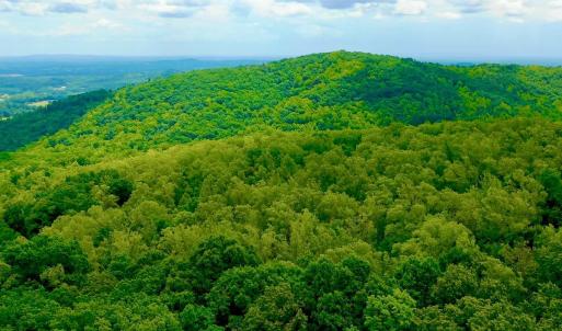 Photo #42 of 1907 Karnes Rd, Bedford, VA 10.8 acres