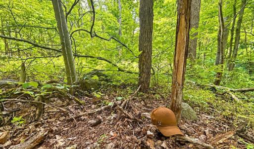 Photo #68 of 1907 Karnes Rd, Bedford, VA 10.8 acres