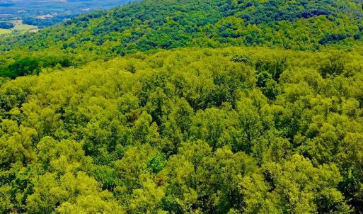 Photo #65 of 1907 Karnes Rd, Bedford, VA 10.8 acres