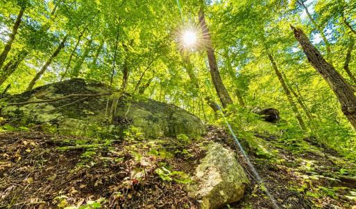 Photo #63 of 1907 Karnes Rd, Bedford, VA 10.8 acres
