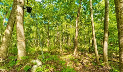 Photo #69 of 1907 Karnes Rd, Bedford, VA 10.8 acres