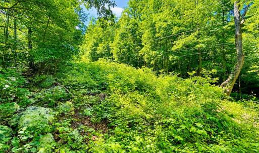 Photo #58 of 1907 Karnes Rd, Bedford, VA 10.8 acres