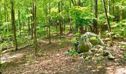 Photo #43 of 1907 Karnes Rd, Bedford, VA 10.8 acres