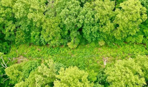 Photo #59 of 1907 Karnes Rd, Bedford, VA 10.8 acres