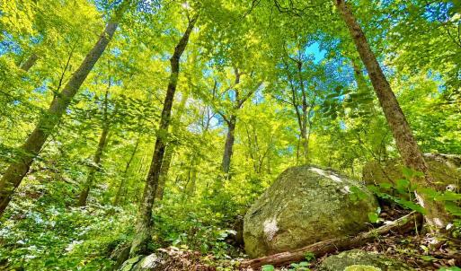 Photo #62 of 1907 Karnes Rd, Bedford, VA 10.8 acres