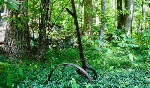 Photo #7 of 1907 Karnes Rd, Bedford, VA 10.8 acres