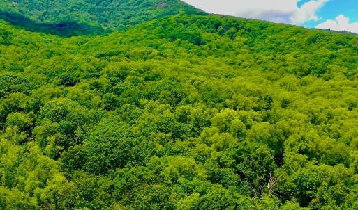 Photo #41 of 1907 Karnes Rd, Bedford, VA 10.8 acres