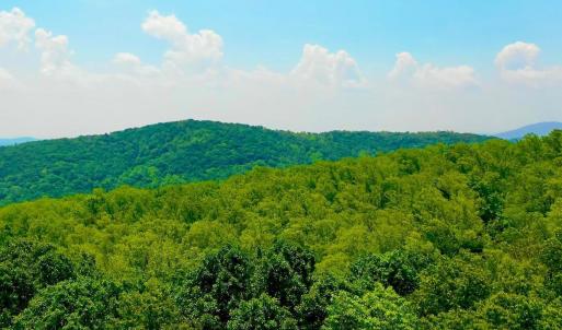 Photo #54 of 1907 Karnes Rd, Bedford, VA 10.8 acres