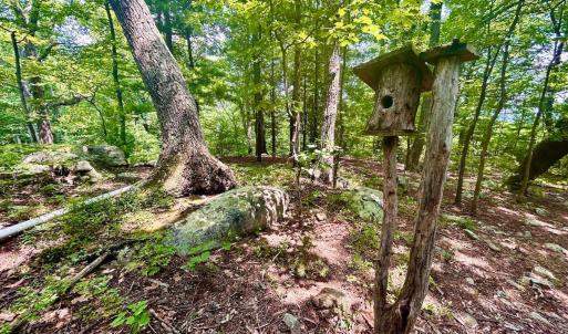 Photo #48 of 1907 Karnes Rd, Bedford, VA 10.8 acres
