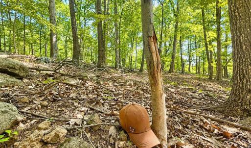 Photo #40 of 1907 Karnes Rd, Bedford, VA 10.8 acres