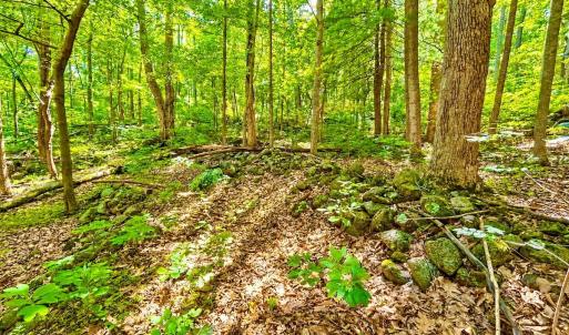 Photo #66 of 1907 Karnes Rd, Bedford, VA 10.8 acres