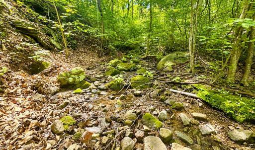 Photo #57 of 1907 Karnes Rd, Bedford, VA 10.8 acres
