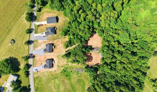 Photo #47 of 1805 Hickory Cove Ln, Moneta, VA 0.9 acres