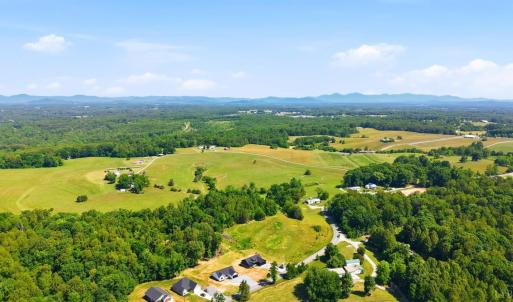 Photo #50 of 1805 Hickory Cove Ln, Moneta, VA 0.9 acres