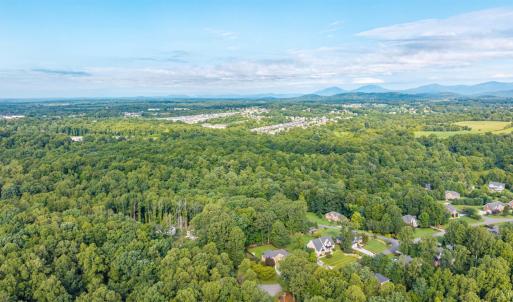 Photo #58 of 1012 Ivy Creek Drive, Forest, VA 0.6 acres