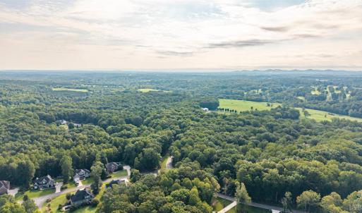 Photo #56 of 1012 Ivy Creek Drive, Forest, VA 0.6 acres