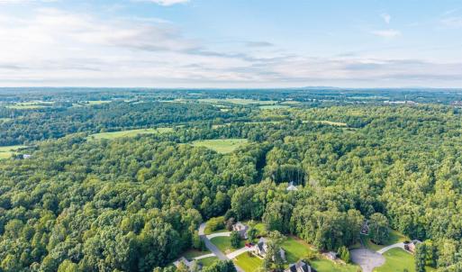Photo #57 of 1012 Ivy Creek Drive, Forest, VA 0.6 acres