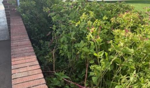 Photo #39 of 903 Westchester Street, Bedford, VA 0.6 acres