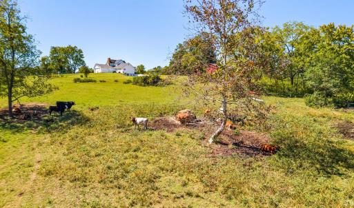 Photo #53 of 1864 Glenwood Dr, Bedford, VA 69.1 acres