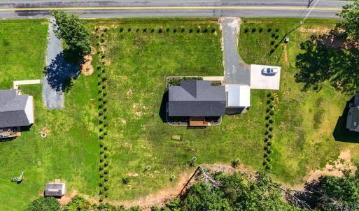Established Apple and Peach Trees add beauty, seasonal enjoyment, and lasting value. 94 Arborvitae create Privacy, Beautiful Landscaping, and Year-Round Curb Appeal.