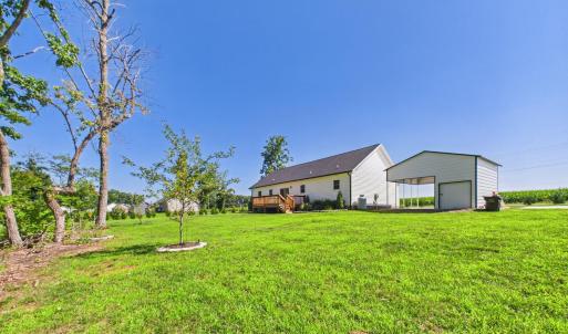 Level Backyard with Established Lawn, Fruit Trees, and Plenty of Space for Outdoor Enjoyment.