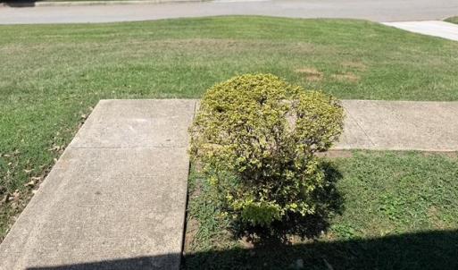 Photo #29 of 1136 Lanier St., Lynchburg, VA 0.3 acres