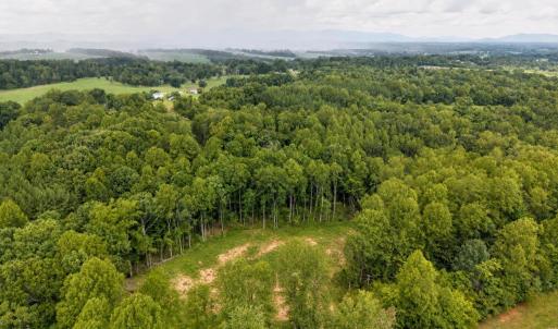 Photo #22 of 1150 Oriole Court, Bedford, VA 0.3 acres