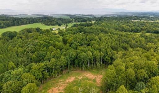 Photo #18 of 1150 Oriole Court, Bedford, VA 0.3 acres