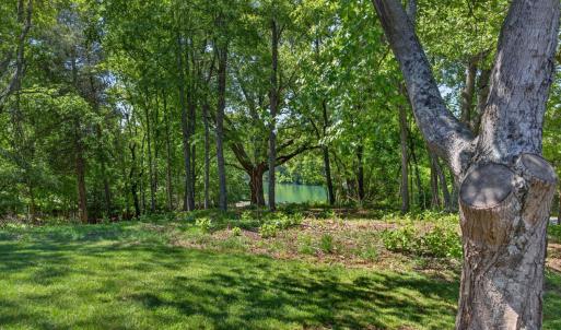 Photo #80 of 309 Eastwind Drive, Forest, VA 0.7 acres