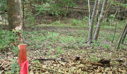 Photo #30 of 1392 Tucker Terrace, Evington, VA 2.5 acres