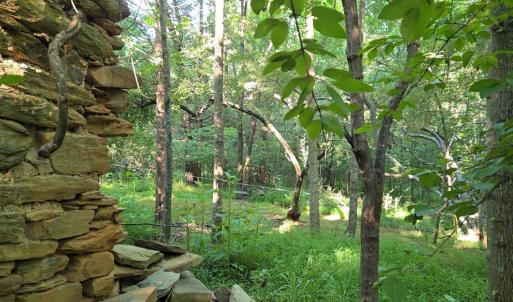 Photo #29 of 1392 Tucker Terrace, Evington, VA 2.5 acres