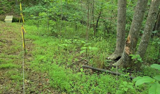 Photo #28 of 1392 Tucker Terrace, Evington, VA 2.5 acres